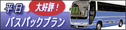 大好評!平日・バスパックプラン
